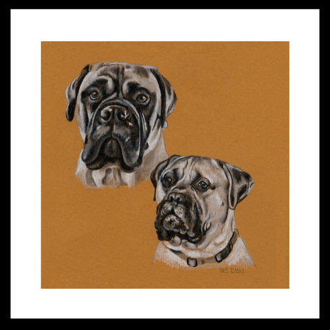 4" x 4" Miniature Colored Pencil Portraits - Two Subjects