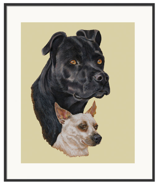 11" x 14" Colored Pencil Pet Portraits - Two or More Subjects